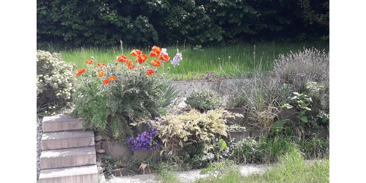 Einfamilienhaus Waiblingen Bittenfeld - 6.5 Zimmer, 170 m&sup2;, 698.000&euro; | Angebot:25127785