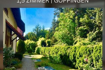 Wohnung Göppingen - 1.5 Zimmer, 43 m&sup2;, 590&euro; | Angebot:25932459