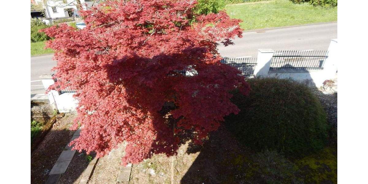 Mehrfamilienhaus, Wohnhaus Göppingen Stadtgebiet - 9 Zimmer, 133 m&sup2;, 490.000&euro; | Angebot:25851395