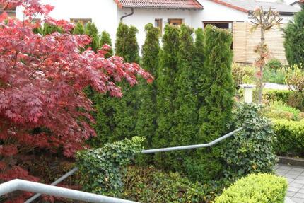 Haus Lorch - 7 Zimmer, 245 m&sup2;, 795.000&euro; | Angebot:25395949