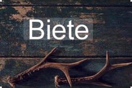 Wohnung Remseck am Neckar - 3 Zimmer, 63 m&sup2;, 850&euro; | Angebot:25993675