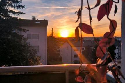 Wohnung Leonberg - 2 Zimmer, 50 m&sup2;, 850&euro; | Angebot:25869232