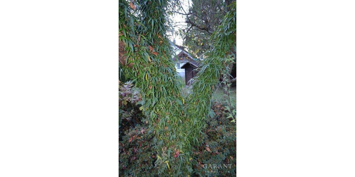 Einfamilienhaus Backnang - 6 Zimmer, 168 m&sup2;, 599.000&euro; | Angebot:25707706