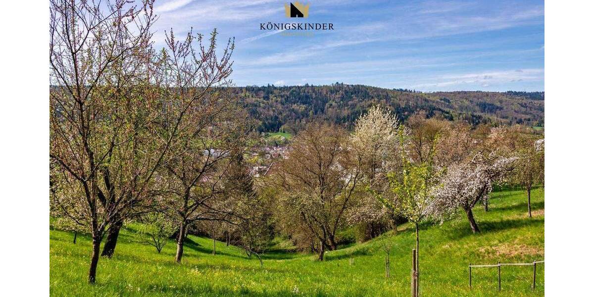 Mehrfamilienhaus, Wohnhaus Plüderhausen - 9 Zimmer, 242 m&sup2;, 658.000&euro; | Angebot:25683089