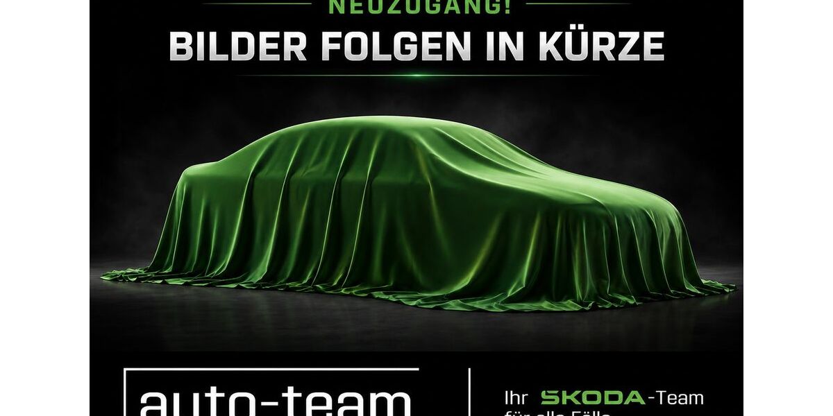 Skoda Kamiq 42.000 km 21.890 &euro; Göppingen 73033