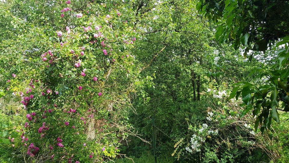 Bauernhaus, Landhaus Ohmden - 5 Zimmer, 120 m&sup2;, 290.000&euro; | Angebot:25612413