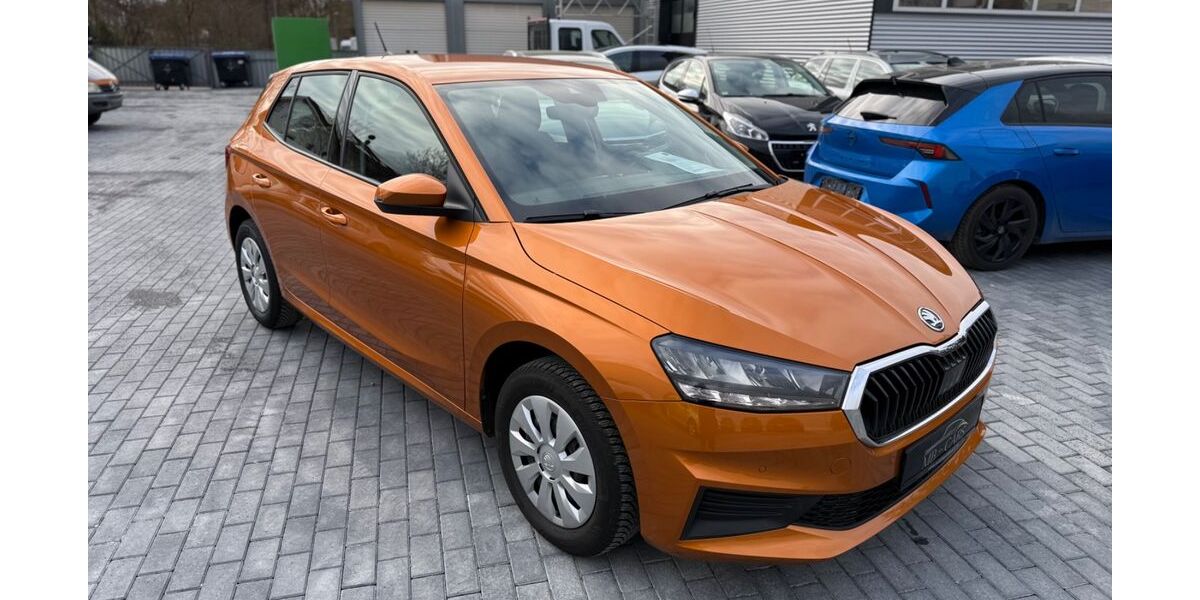 Skoda Fabia 22.629 km 16.990 &euro; Magstadt 71106