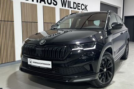Skoda Karoq 97.200 km 28.833 &euro; Abstatt 74232