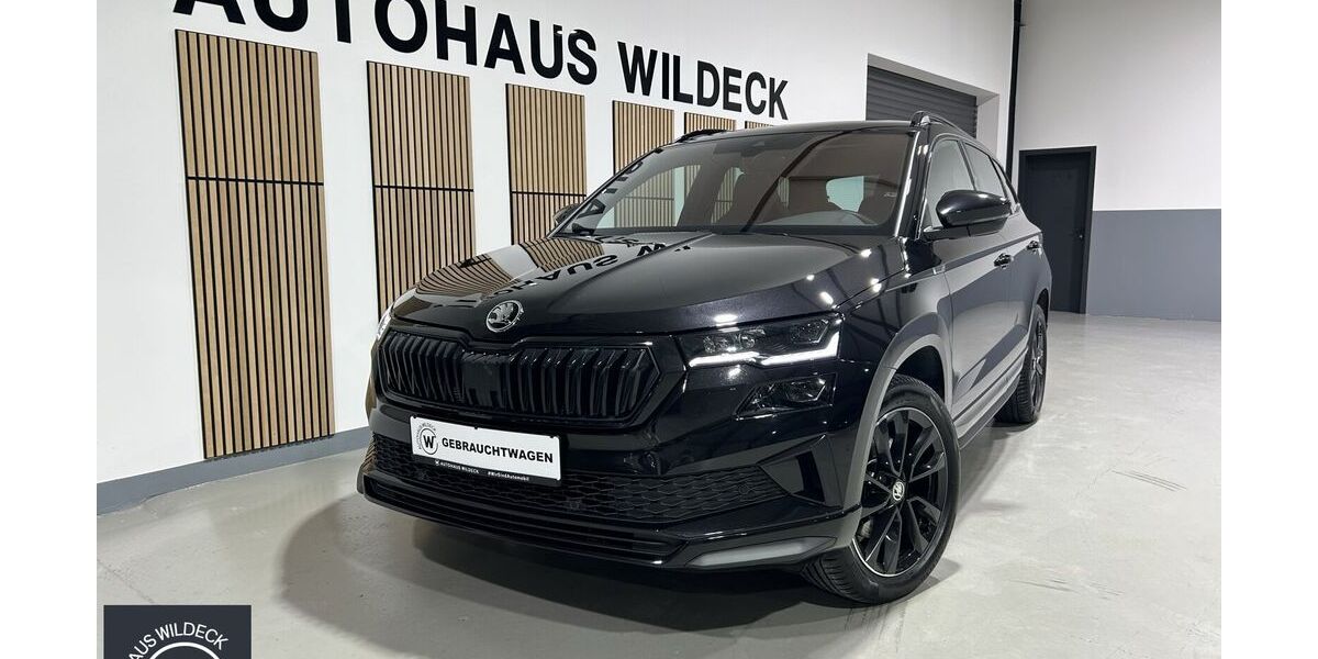 Skoda Karoq 97.200 km 28.833 &euro; Abstatt 74232