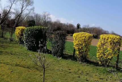 Grundstück Ditzingen - 39.900&euro; | Angebot:25874441