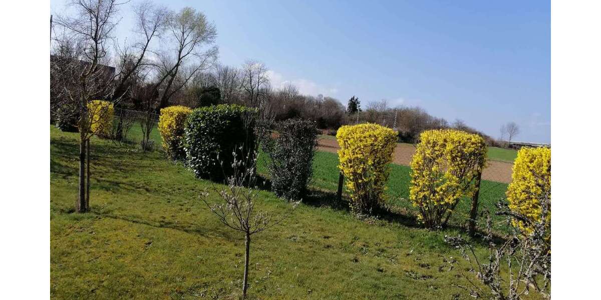 Grundstück Ditzingen - 39.900&euro; | Angebot:25874441