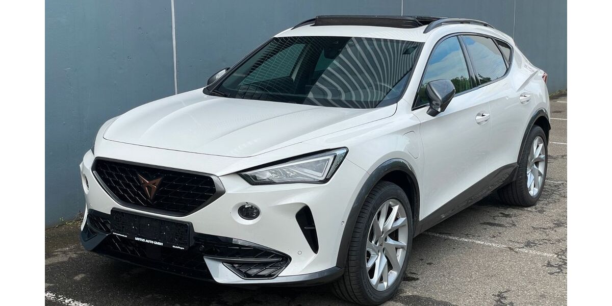 Cupra Formentor 100.000 km 21.800 &euro; Sindelfingen 71065