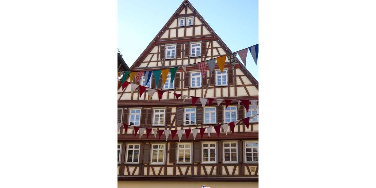 Etagenwohnung Stuttgart Bad Cannstatt - 1 Zimmer, 20 m&sup2;, 360&euro; | Angebot:25915233