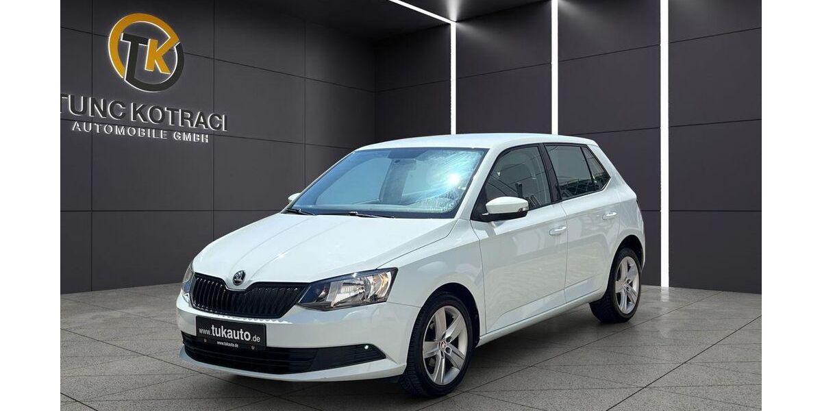 Skoda Fabia 99.500 km 6.450 &euro; Nürtingen 72622