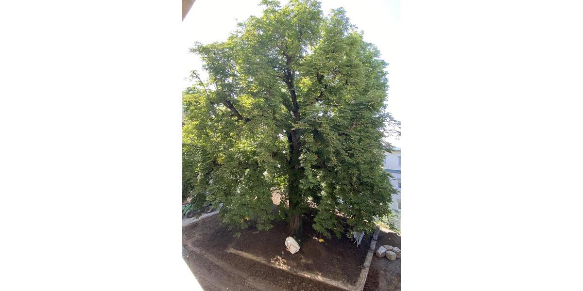 Etagenwohnung Leonberg - 4 Zimmer, 105 m&sup2;, 1.787&euro; | Angebot:23644749