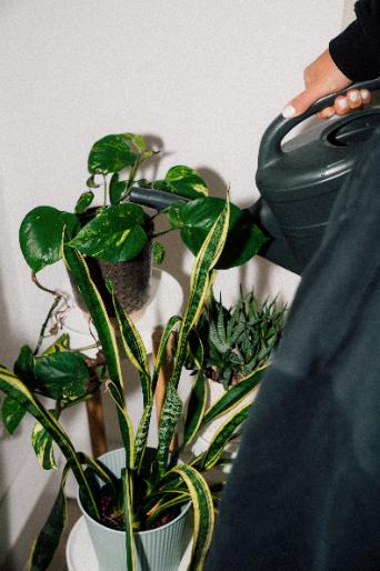 Gewerbeobjekt Stuttgart Stuttgart-Ost - 900&euro; | Angebot:25981287