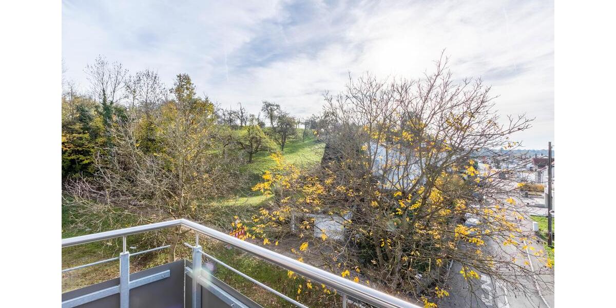 Dachgeschoßwohnung Oberboihingen - 3 Zimmer, 95 m&sup2;, 1.100&euro; | Angebot:25479852