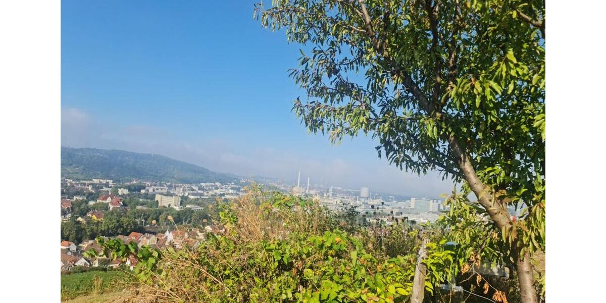 Etagenwohnung Stuttgart Luginsland - 1 Zimmer, 15 m&sup2;, 720&euro; | Angebot:25267868