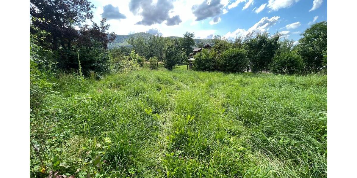 Grundstück Bissingen an der Teck Bissingen - 345.000&euro; | Angebot:25696488