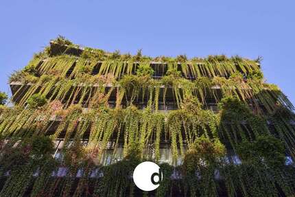 Wohnung Stuttgart Stuttgart-Nord - 2 Zimmer, 87 m&sup2;, 2.190&euro; | Angebot:25082917