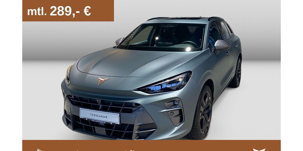 Cupra Terramar 9.999 km 46.970 &euro; Göppingen 73037