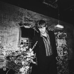 Ansa Sauermann Trio - Keine weiteren Fragen 2027