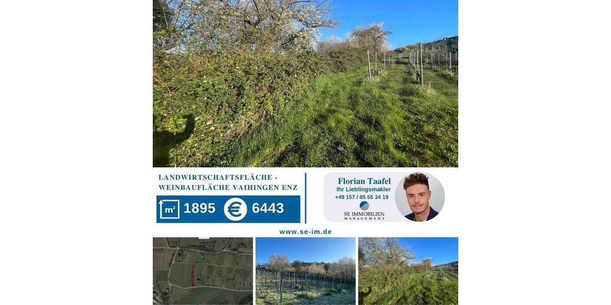 Grundstück Vaihingen an der Enz - 6.443&euro; | Angebot:24903211