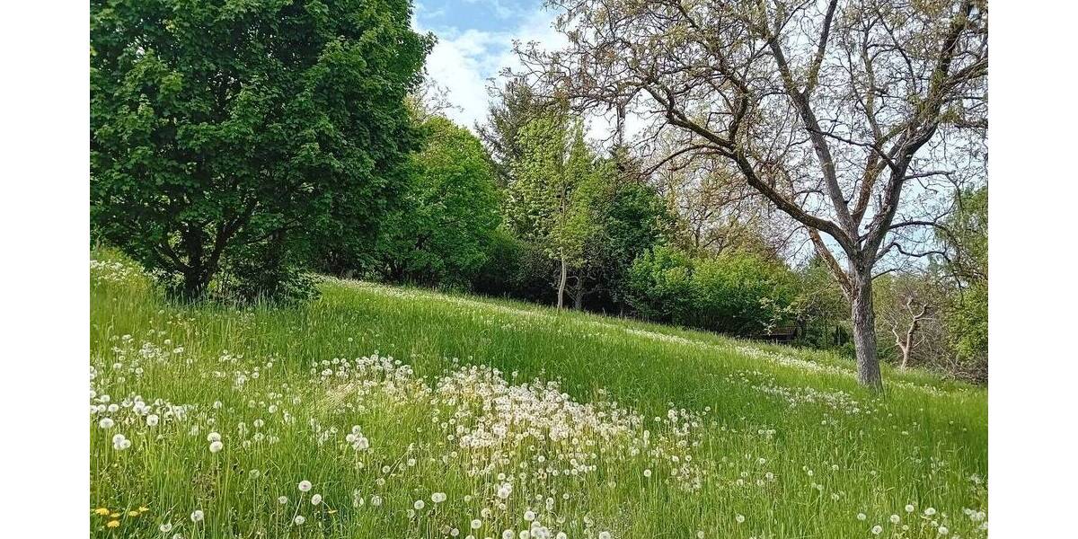 Grundstück Schorndorf - 16.000&euro; | Angebot:25815483