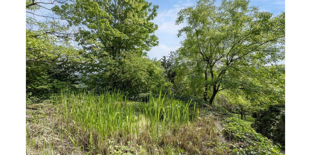 Einfamilienhaus Stuttgart Frauenkopf - 5 Zimmer, 231 m&sup2;, 1.490.000&euro; | Angebot:25745108