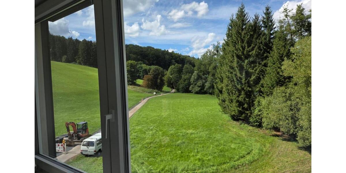 Dachgeschoßwohnung Weinstadt - 1 Zimmer, 47 m&sup2;, 705&euro; | Angebot:25831184