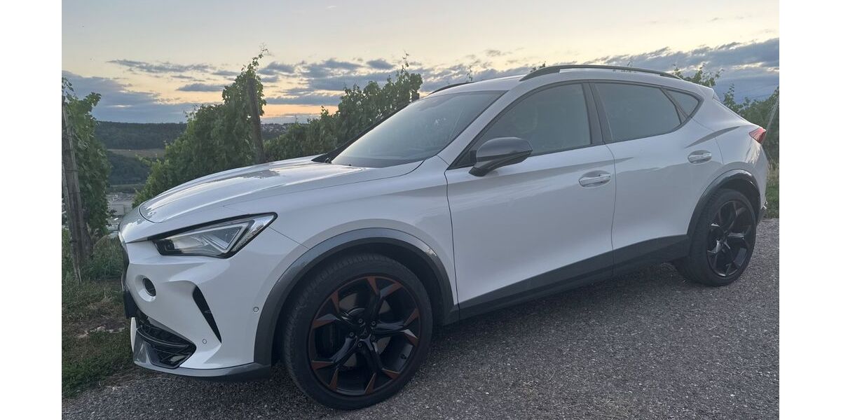 Cupra Formentor 42.000 km 29.992 &euro; Esslingen 73733