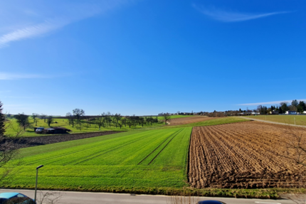 Wohnung zum Kaufen in Affalterbach 278.700 € 83 m² - Wohnung Affalterbach | Angebot:25806949