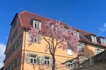Maisonettenwohnung Schwieberdingen - 5 Zimmer, 119 m&sup2;, 1.785&euro; | Angebot:27539424
