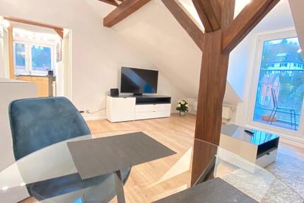 Wohnung Esslingen am Neckar - 2 Zimmer, 41 m&sup2;, 850&euro; | Angebot:24256971