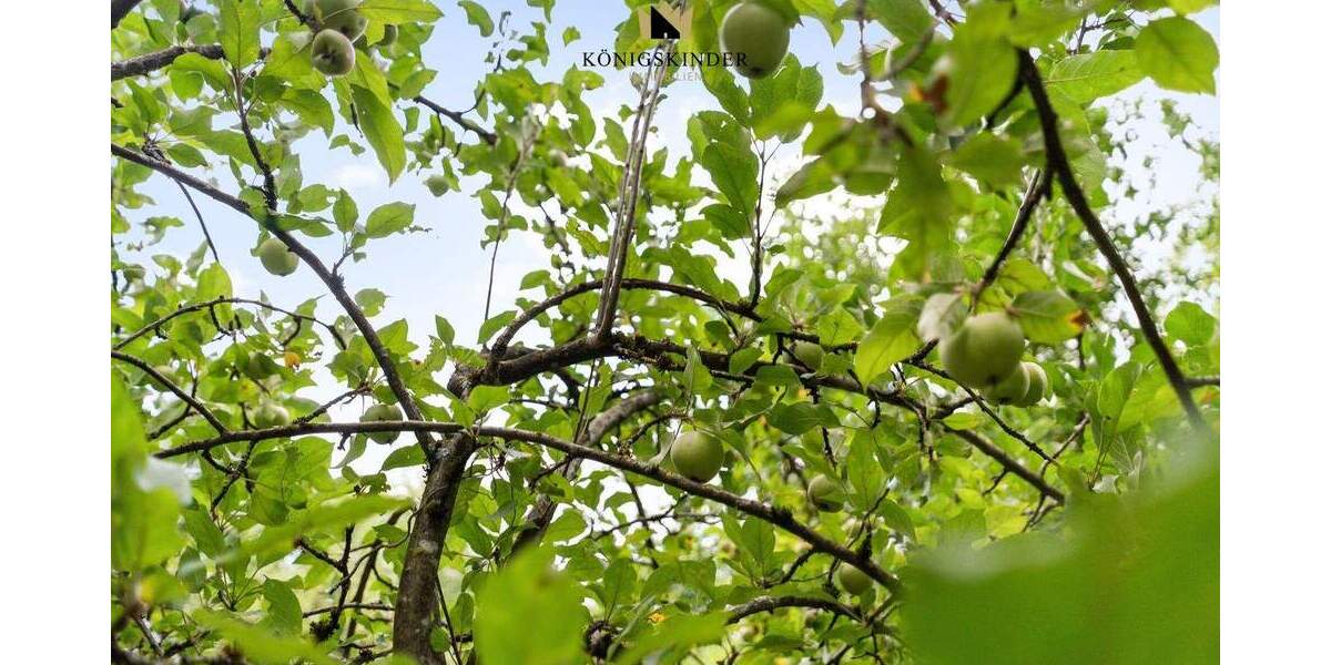 Grundstück Ostfildern Kemnat - 159.000&euro; | Angebot:25731508