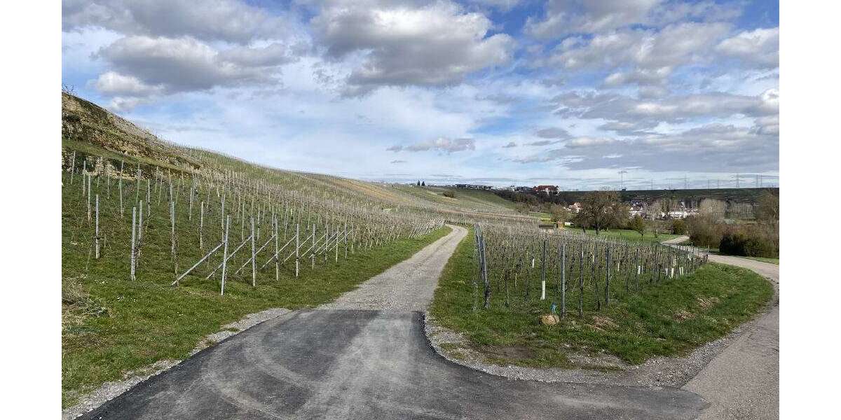 Grundstück Bönnigheim - 9.500&euro; | Angebot:25460075