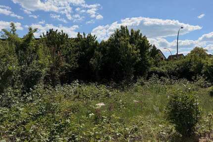 Grundstück Kernen im Remstal - 315.625&euro; | Angebot:25869416