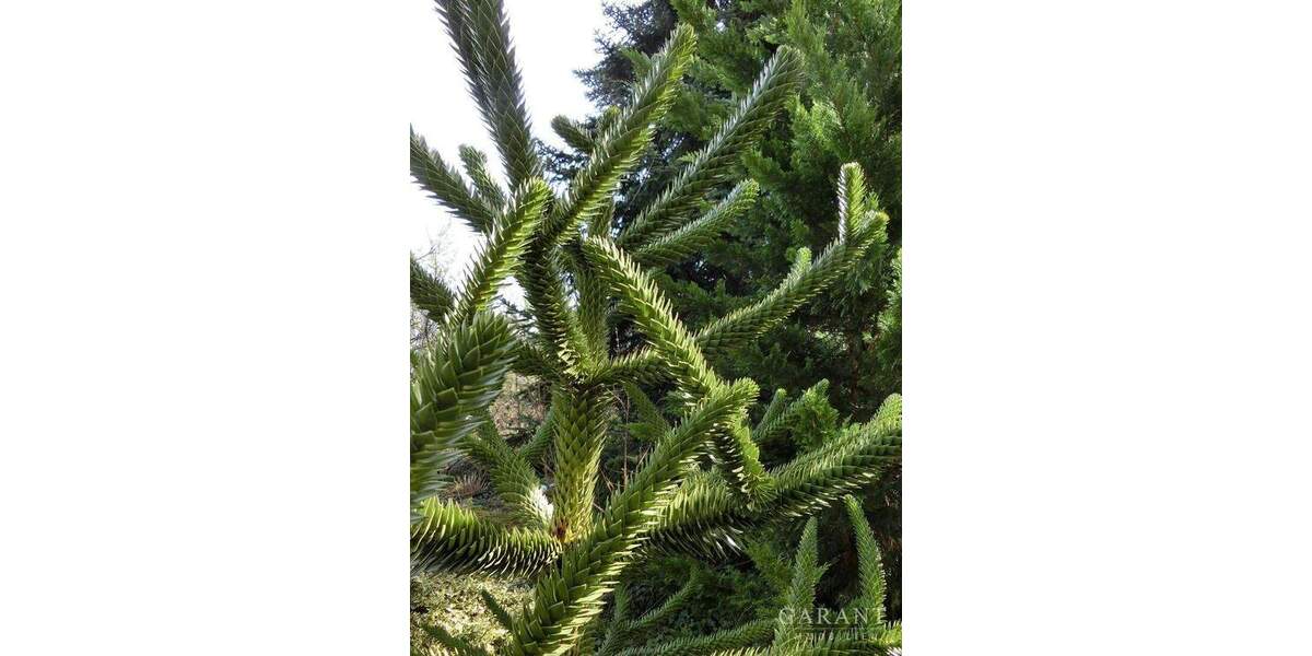 Einfamilienhaus Göppingen Jebenhausen - 6 Zimmer, 200 m&sup2;, 599.000&euro; | Angebot:25781198