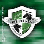 TSV Hannover-Burgdorf - Rhein-Neckar Löwen