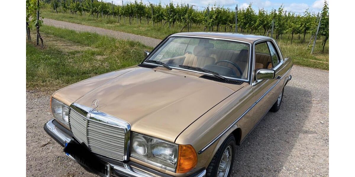 Mercedes-Benz 230 70.000 km 22.900 &euro; Löwenstein 74245