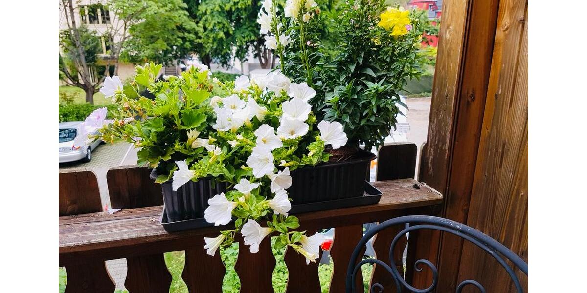 Mehrfamilienhaus, Wohnhaus Stuttgart Bad Cannstatt - 9 Zimmer, 173 m&sup2;, 849.000&euro; | Angebot:25398127