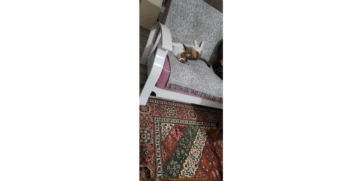 Einfamilienhaus Gerlingen - 12 Zimmer, 395 m&sup2;, 375.000&euro; | Angebot:23762107