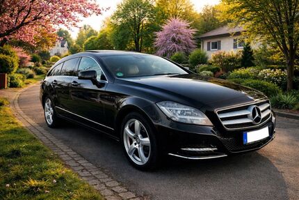 Mercedes-Benz CLS 250 Shooting Brake 179.980 km 15.790 &euro; Neckarwestheim 74382