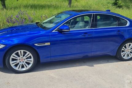 Jaguar XF 39.200 km 22.000 &euro; Auenwald 71549
