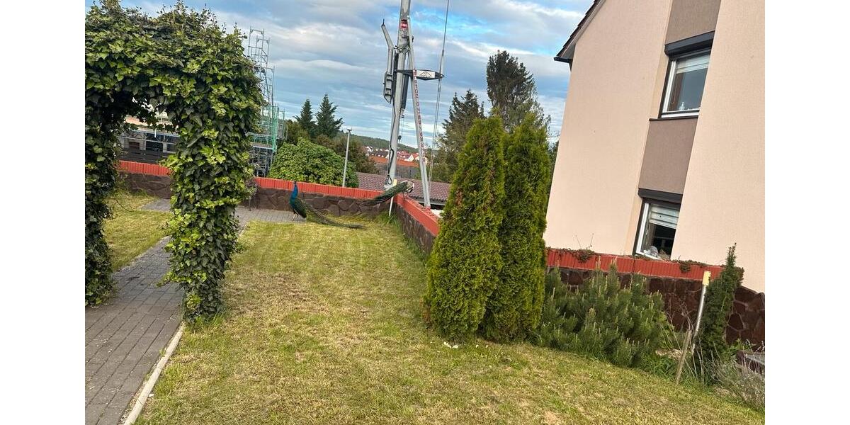 Mehrfamilienhaus, Wohnhaus Magstadt - 6 Zimmer, 387 m&sup2;, 1.349.000&euro; | Angebot:24984052