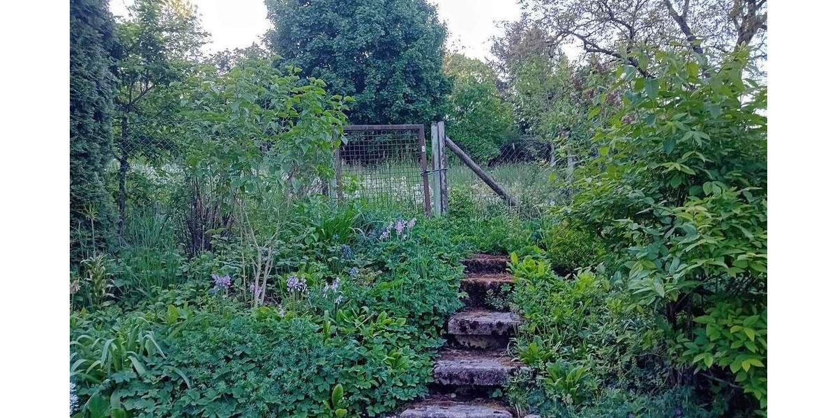 Grundstück Schorndorf - 16.000&euro; | Angebot:25815483