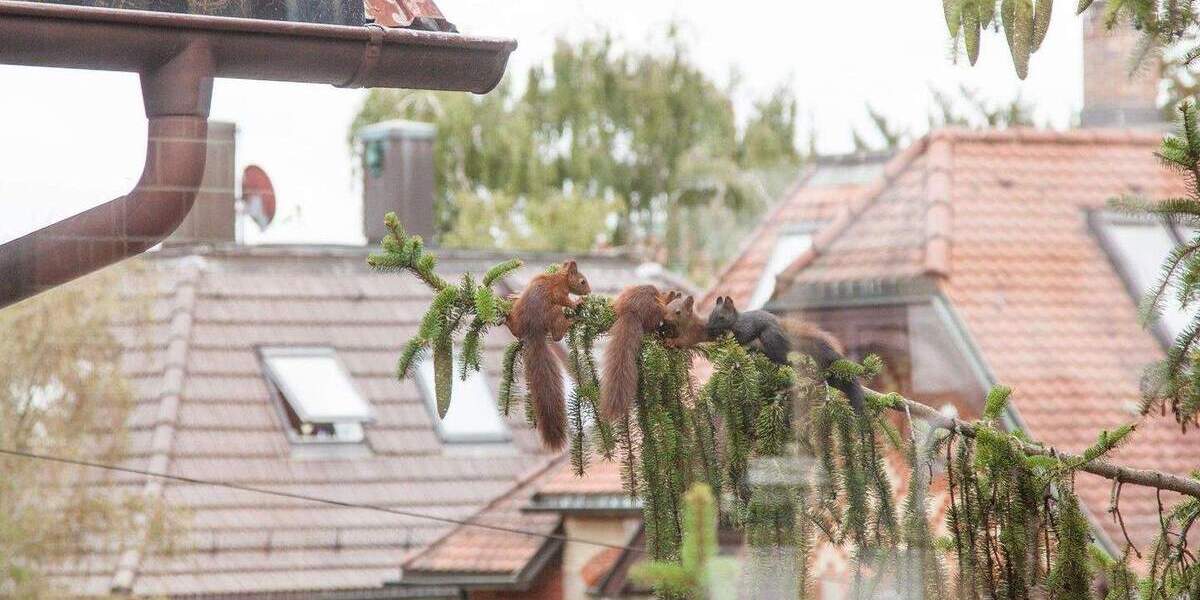 Gewerbeobjekt Stuttgart Nord - 350&euro; | Angebot:25820763