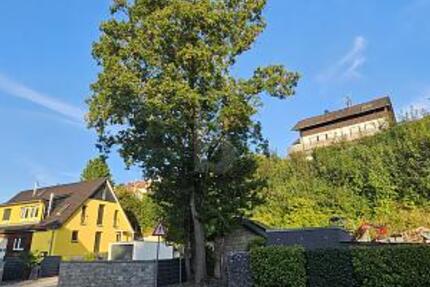 VIELSEITIGER RAUM FÜR LEBEN UND ARBEIT IN TOP-LAGE - Grundstück Steinheim an der Murr | Angebot:27329258
