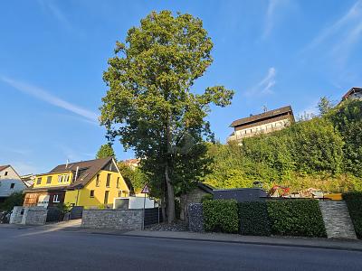 VIELSEITIGER RAUM FÜR LEBEN UND ARBEIT IN TOP-LAGE - Grundstück Steinheim an der Murr | Angebot:27329258