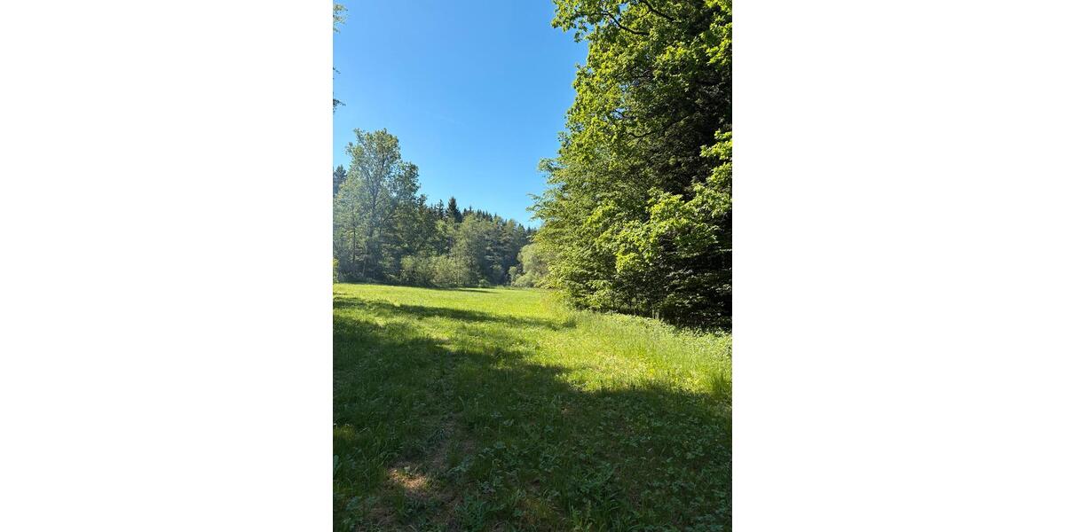 Einfamilienhaus Kaisersbach - 5.5 Zimmer, 171 m&sup2;, 790.000&euro; | Angebot:27018179